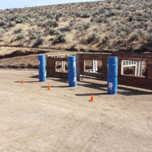 Defensive two gun