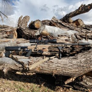 Custom 22LR
